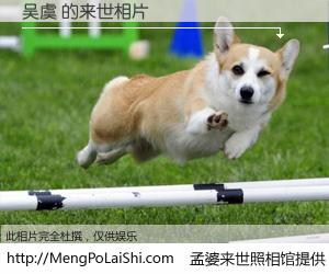 #孟婆来世照相馆# 【吴虞 来世的未来相片】一碗梦婆汤，忘却了今生爱与痛，了无牵挂进入轮回。再相遇，已是天涯陌路人。可否借我一双慧眼，看清今生与来世？孟婆来世照相馆，触摸你的未来。吴虞 来世的未来相片，有图有真相：