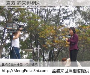 #孟婆来世照相馆# 【夏双 来世的未来相片】一碗梦婆汤，忘却了今生爱与痛，了无牵挂进入轮回。再相遇，已是天涯陌路人。可否借我一双慧眼，看清今生与来世？孟婆来世照相馆，触摸你的未来。夏双 来世的未来相片，有图有真相：