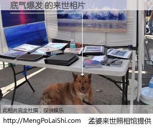 #孟婆来世照相馆# 【底气爆发 来世的未来相片】一碗梦婆汤，忘却了今生爱与痛，了无牵挂进入轮回。再相遇，已是天涯陌路人。可否借我一双慧眼，看清今生与来世？孟婆来世照相馆，触摸你的未来。底气爆发 来世的未来相片，有图有真相：