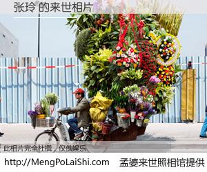 #孟婆来世照相馆# 【张玲 来世的未来相片】一碗梦婆汤，忘却了今生爱与痛，了无牵挂进入轮回。再相遇，已是天涯陌路人。可否借我一双慧眼，看清今生与来世？孟婆来世照相馆，触摸你的未来。张玲 来世的未来相片，有图有真相：