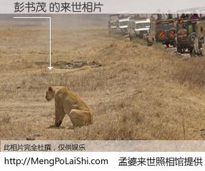 #孟婆来世照相馆# 【彭书茂 来世的未来相片】一碗梦婆汤，忘却了今生爱与痛，了无牵挂进入轮回。再相遇，已是天涯陌路人。可否借我一双慧眼，看清今生与来世？孟婆来世照相馆，触摸你的未来。彭书茂 来世的未来相片，有图有真相：