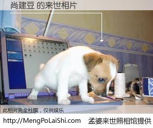 #孟婆来世照相馆# 【尚建豆 来世的未来相片】一碗梦婆汤，忘却了今生爱与痛，了无牵挂进入轮回。再相遇，已是天涯陌路人。可否借我一双慧眼，看清今生与来世？孟婆来世照相馆，触摸你的未来。尚建豆 来世的未来相片，有图有真相：