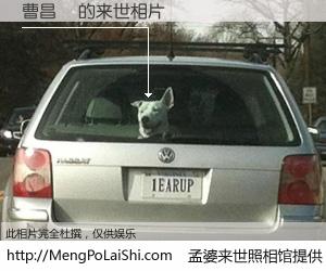 #孟婆来世照相馆# 【曹昌東 来世的未来相片】一碗梦婆汤，忘却了今生爱与痛，了无牵挂进入轮回。再相遇，已是天涯陌路人。可否借我一双慧眼，看清今生与来世？孟婆来世照相馆，触摸你的未来。曹昌東 来世的未来相片，有图有真相：