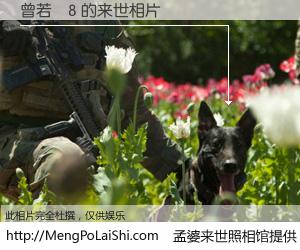 #孟婆来世照相馆# 【曾若剛8 来世的未来相片】一碗梦婆汤，忘却了今生爱与痛，了无牵挂进入轮回。再相遇，已是天涯陌路人。可否借我一双慧眼，看清今生与来世？孟婆来世照相馆，触摸你的未来。曾若剛8 来世的未来相片，有图有真相：