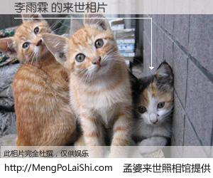 #孟婆来世照相馆# 【李雨霖 来世的未来相片】一碗梦婆汤，忘却了今生爱与痛，了无牵挂进入轮回。再相遇，已是天涯陌路人。可否借我一双慧眼，看清今生与来世？孟婆来世照相馆，触摸你的未来。李雨霖 来世的未来相片，有图有真相：