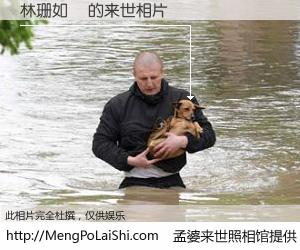 #孟婆来世照相馆# 【林珊如€ 来世的未来相片】一碗梦婆汤，忘却了今生爱与痛，了无牵挂进入轮回。再相遇，已是天涯陌路人。可否借我一双慧眼，看清今生与来世？孟婆来世照相馆，触摸你的未来。林珊如€ 来世的未来相片，有图有真相：