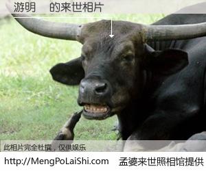 #孟婆来世照相馆# 【游明徳 来世的未来相片】一碗梦婆汤，忘却了今生爱与痛，了无牵挂进入轮回。再相遇，已是天涯陌路人。可否借我一双慧眼，看清今生与来世？孟婆来世照相馆，触摸你的未来。游明徳 来世的未来相片，有图有真相：