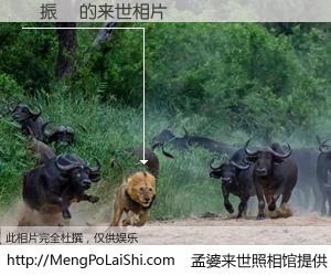 #孟婆来世照相馆# 【畢振剛 来世的未来相片】一碗梦婆汤，忘却了今生爱与痛，了无牵挂进入轮回。再相遇，已是天涯陌路人。可否借我一双慧眼，看清今生与来世？孟婆来世照相馆，触摸你的未来。畢振剛 来世的未来相片，有图有真相：