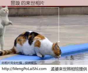 #孟婆来世照相馆# 【盧昱璇 来世的未来相片】一碗梦婆汤，忘却了今生爱与痛，了无牵挂进入轮回。再相遇，已是天涯陌路人。可否借我一双慧眼，看清今生与来世？孟婆来世照相馆，触摸你的未来。盧昱璇 来世的未来相片，有图有真相：