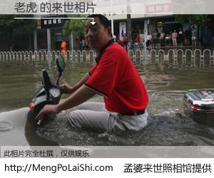 #孟婆来世照相馆# 【老虎 来世的未来相片】一碗梦婆汤，忘却了今生爱与痛，了无牵挂进入轮回。再相遇，已是天涯陌路人。可否借我一双慧眼，看清今生与来世？孟婆来世照相馆，触摸你的未来。老虎 来世的未来相片，有图有真相：