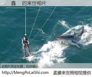 #孟婆来世照相馆# 【萬鑫偉 来世的未来相片】一碗梦婆汤，忘却了今生爱与痛，了无牵挂进入轮回。再相遇，已是天涯陌路人。可否借我一双慧眼，看清今生与来世？孟婆来世照相馆，触摸你的未来。萬鑫偉 来世的未来相片，有图有真相：