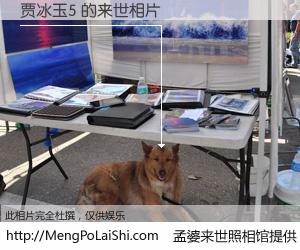 #孟婆来世照相馆# 【贾冰玉5 来世的未来相片】一碗梦婆汤，忘却了今生爱与痛，了无牵挂进入轮回。再相遇，已是天涯陌路人。可否借我一双慧眼，看清今生与来世？孟婆来世照相馆，触摸你的未来。贾冰玉5 来世的未来相片，有图有真相：