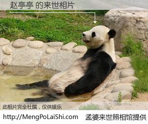 #孟婆来世照相馆# 【赵亭亭 来世的未来相片】一碗梦婆汤，忘却了今生爱与痛，了无牵挂进入轮回。再相遇，已是天涯陌路人。可否借我一双慧眼，看清今生与来世？孟婆来世照相馆，触摸你的未来。赵亭亭 来世的未来相片，有图有真相：