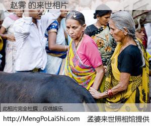 #孟婆来世照相馆# 【赵霁 来世的未来相片】一碗梦婆汤，忘却了今生爱与痛，了无牵挂进入轮回。再相遇，已是天涯陌路人。可否借我一双慧眼，看清今生与来世？孟婆来世照相馆，触摸你的未来。赵霁 来世的未来相片，有图有真相：