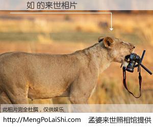 #孟婆来世照相馆# 【顏靜如 来世的未来相片】一碗梦婆汤，忘却了今生爱与痛，了无牵挂进入轮回。再相遇，已是天涯陌路人。可否借我一双慧眼，看清今生与来世？孟婆来世照相馆，触摸你的未来。顏靜如 来世的未来相片，有图有真相：