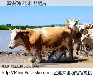 #孟婆来世照相馆# 【黄俊玮 来世的未来相片】一碗梦婆汤，忘却了今生爱与痛，了无牵挂进入轮回。再相遇，已是天涯陌路人。可否借我一双慧眼，看清今生与来世？孟婆来世照相馆，触摸你的未来。黄俊玮 来世的未来相片，有图有真相：